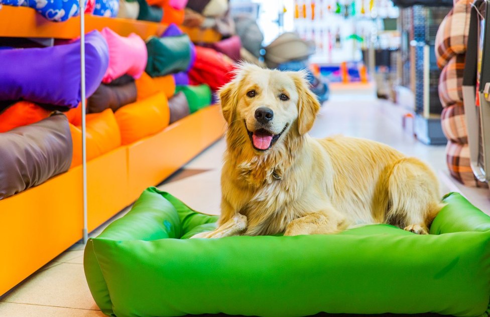 Mercado Pet, tem crescido muito no Brasil. 